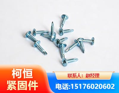 临沂华司钻尾丝